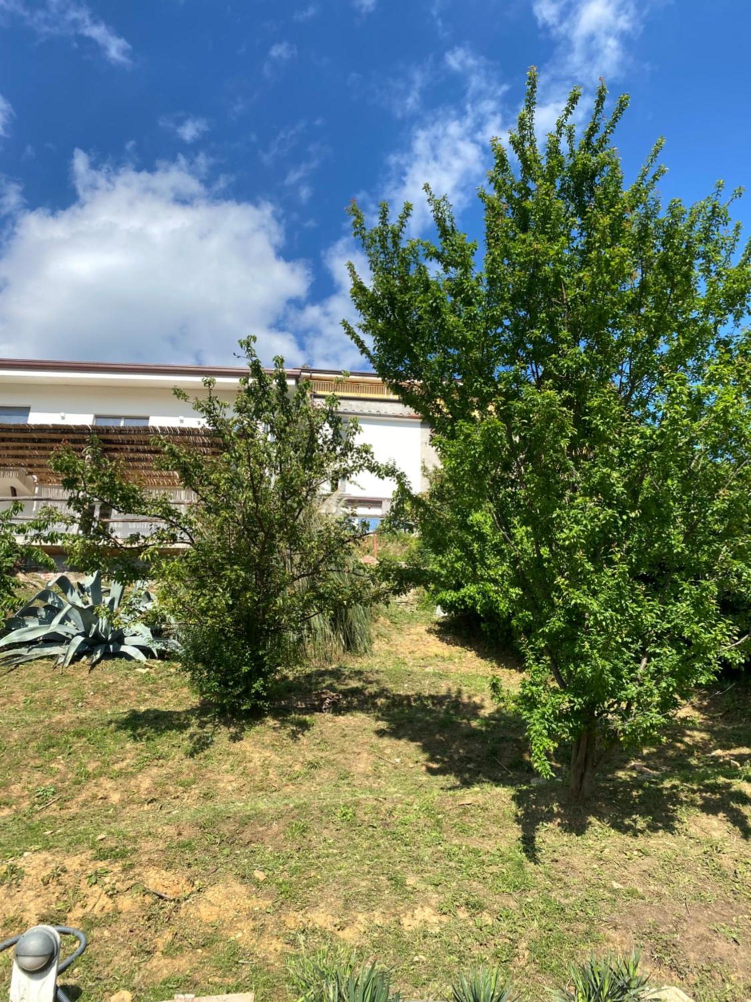 Villa Patrizia Pietrasanta Eksteriør billede